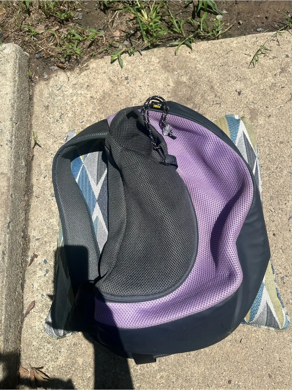 Small dog/cat carrier Purple and Black